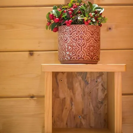 Chalet Anemone *