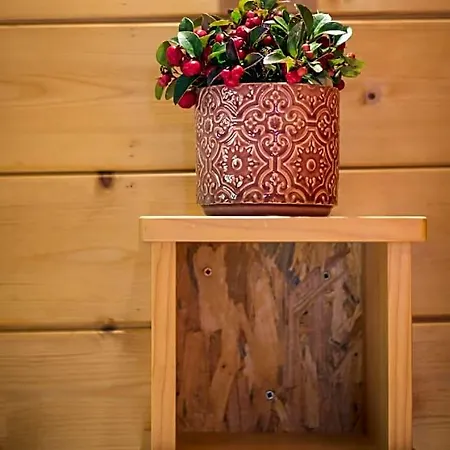 Chalet Anemone Soultzeren
